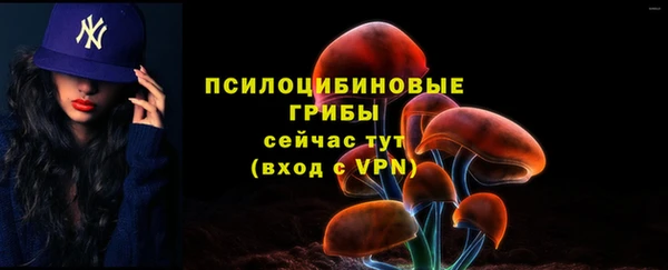 ешки Краснослободск